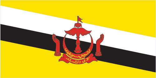 Brunei National Flag