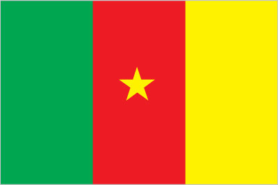 Cameroon National Flag