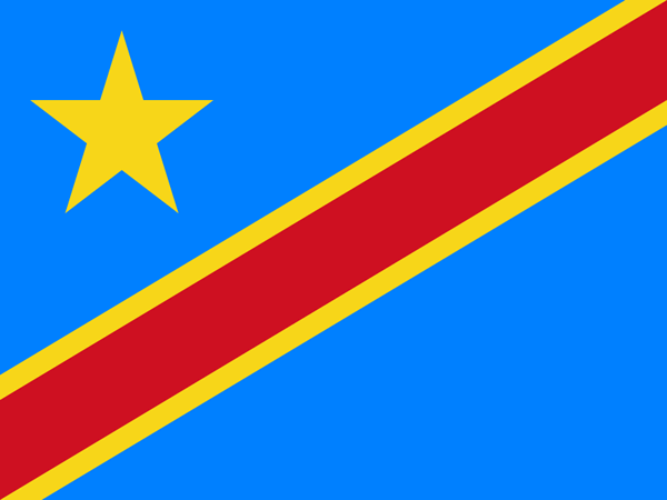 Congo National Flag Hoodies - World Reps Apparel Canada and USA