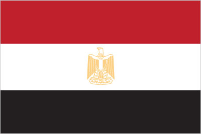 Egypt National Flag Hoodies - World Reps Apparel Canada and USA