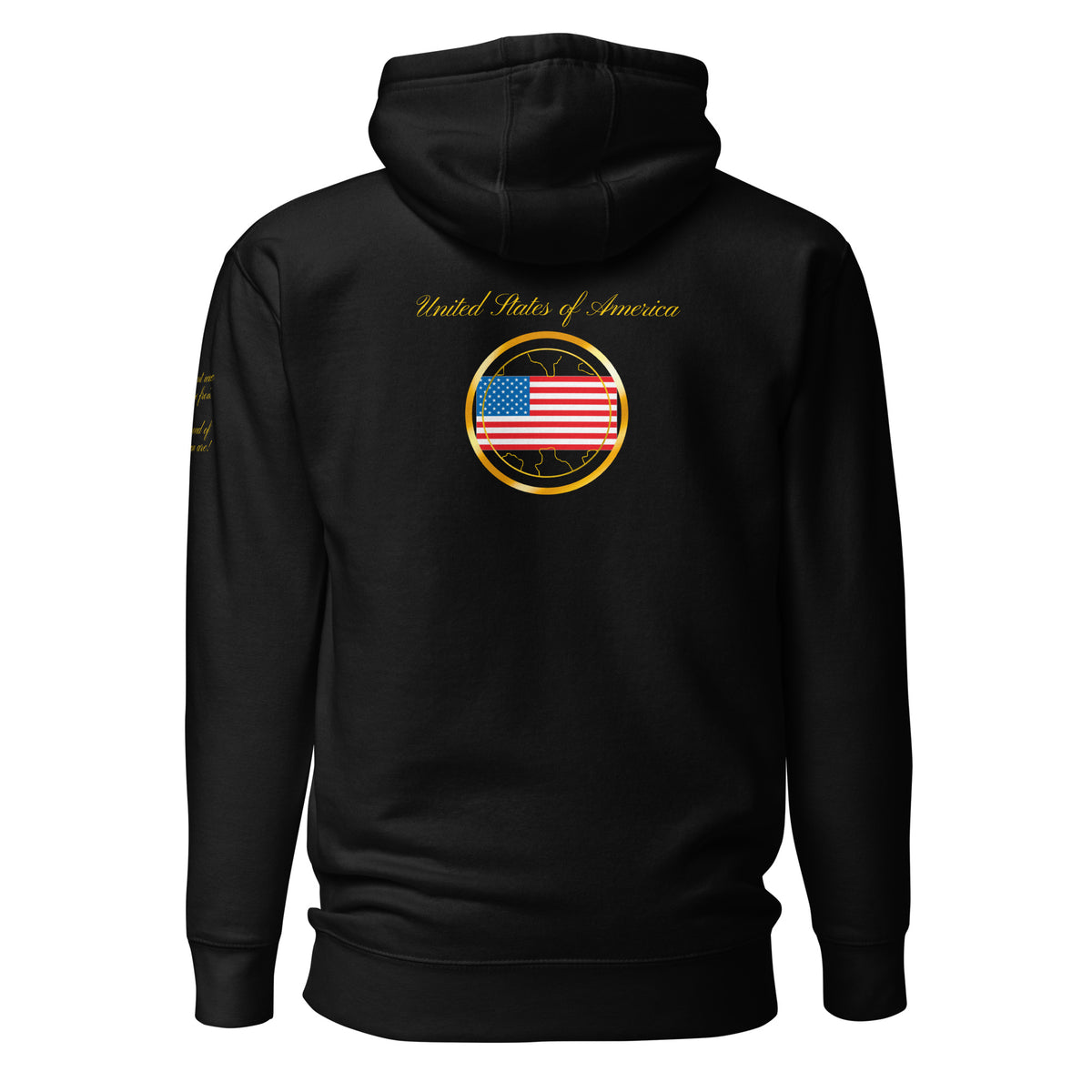 USA Trinity unisex fitted pullover hoodie in black, back view — World Reps Apparel