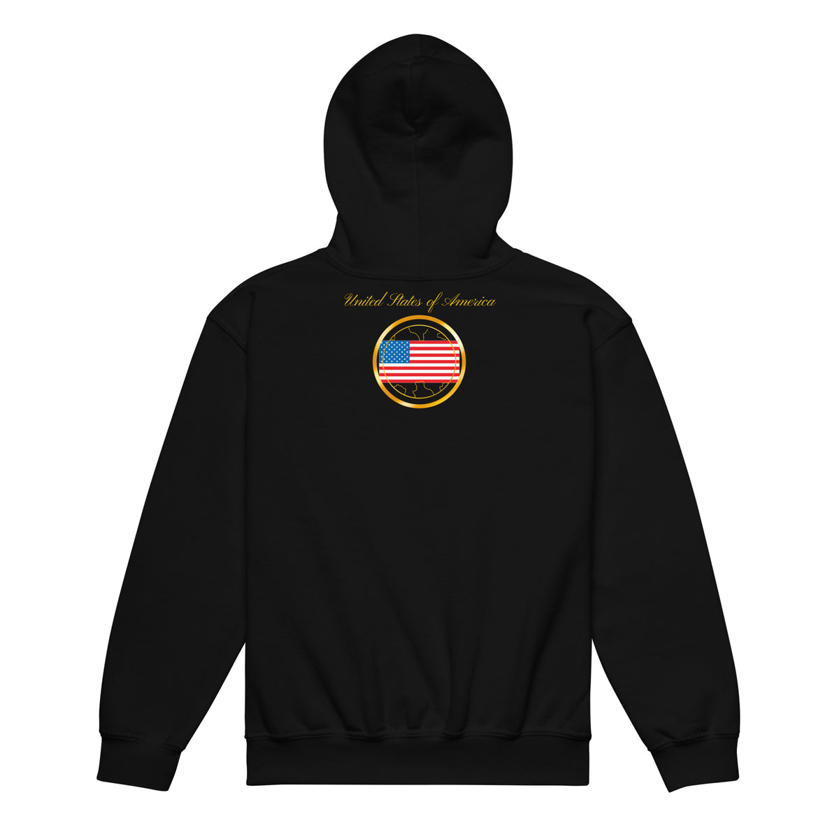 USA Trinity kids pullover hoodie in black, back view — World Reps Apparel