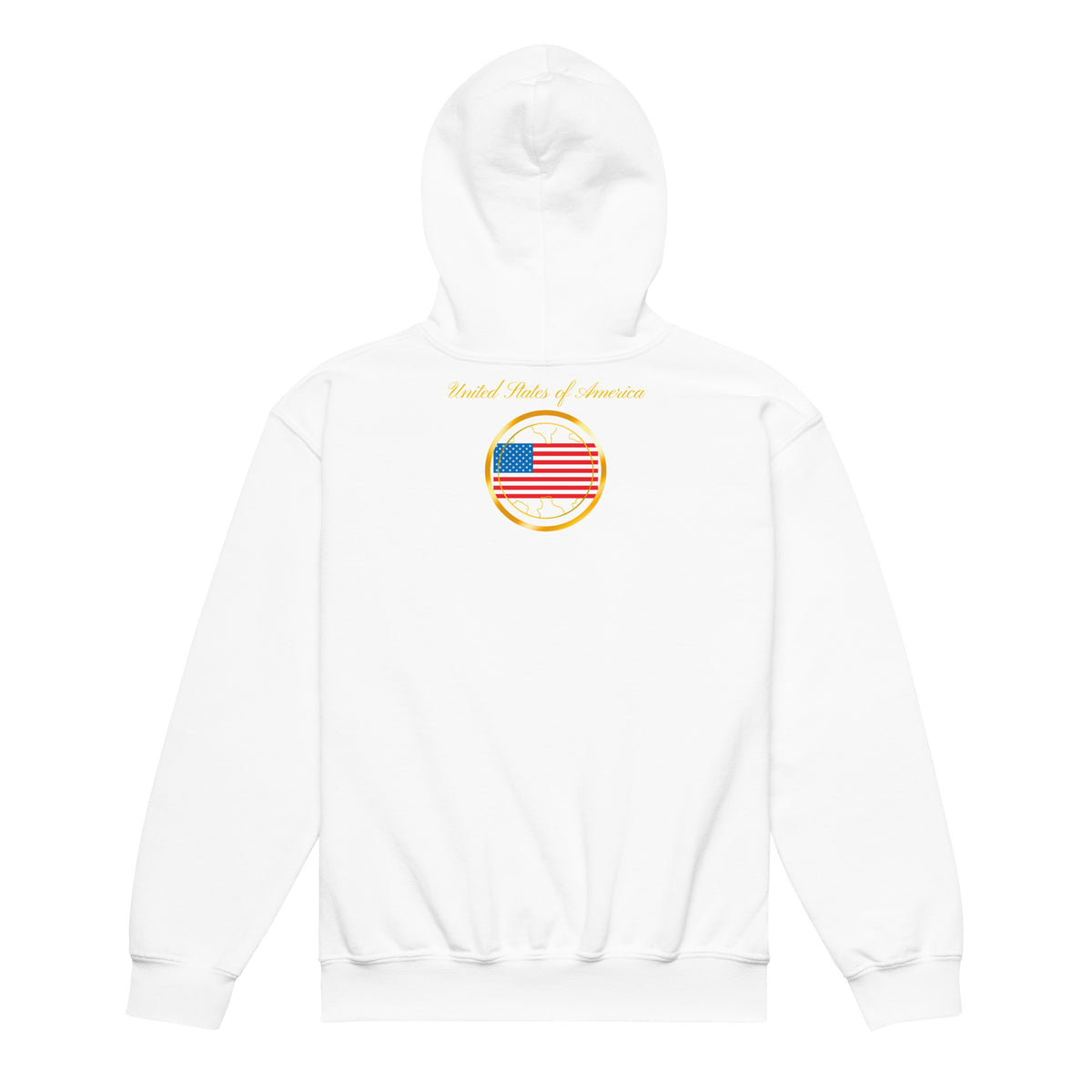 USA Trinity kids pullover hoodie in white, back view, second image — World Reps Apparel